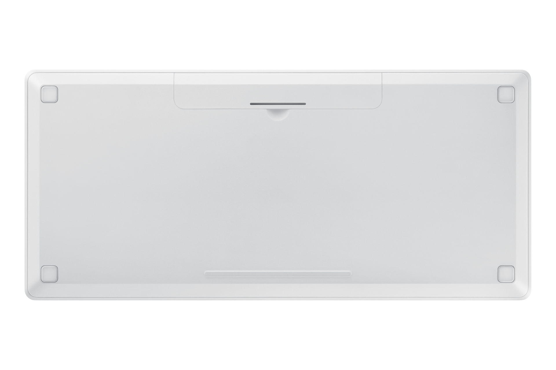 back White