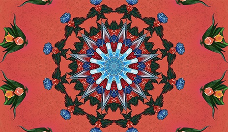 Second, the image is of a colourful circular pattern with a pink background.