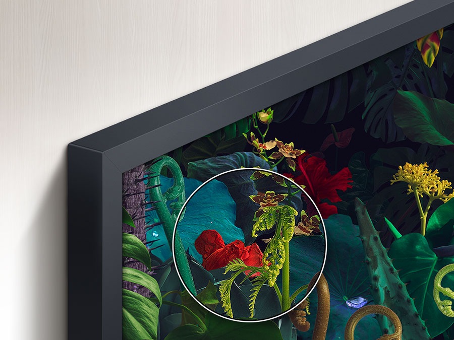 A part of the screen on The Frame is emphasized to show how realistic the colors are via 100% Color Volume technology.