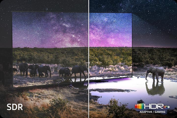 Elephants are walking around in a wide field. The scene after applying HDR 10+ ADAPTIVE/GAMING technology is much brighter and crisper than the SDR version.