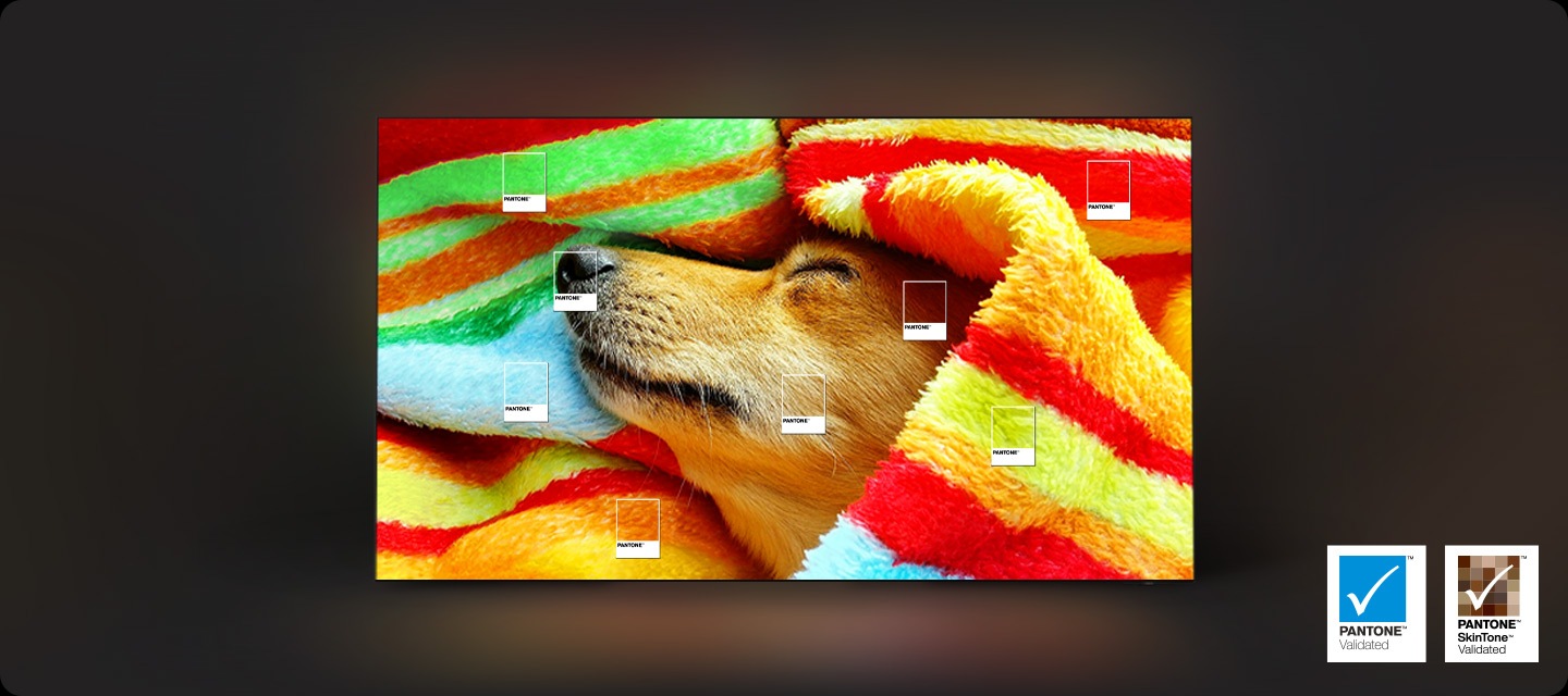 A dog wrapped around a colourful blanket is on display.