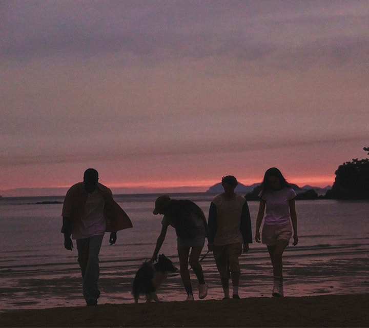 Four people walking on the beach at sunset with a dog.