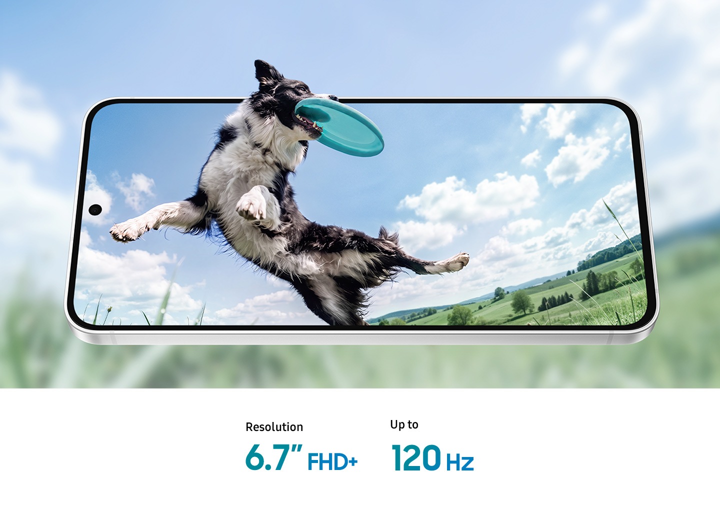 Front view of Galaxy S26 FE in landscape orientation and slightly tilted back. The display shows a dog catching a frisbee midair. The dog's head appears to extend beyond the edge of the screen, while the blurred background continues the image to emphasize the device's immersive display. Resolution 6.7 inch FHD+. Up to 120Hz.