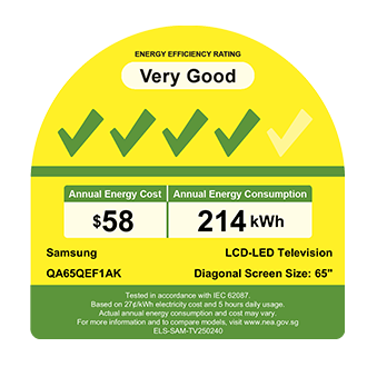 65" QLED QEF1 4K Samsung Vision AI Smart TV Titanium Gray - Energy Label