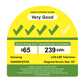 65" Neo QLED QN1EF 4K Samsung Vision AI Smart TV Black - Energy Label