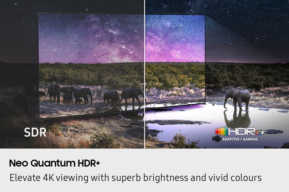 Elephants are walking around in a wide field. The scene after applying HDR 10+ ADAPTIVE/GAMING technology is much brighter and crisper than the SDR version.