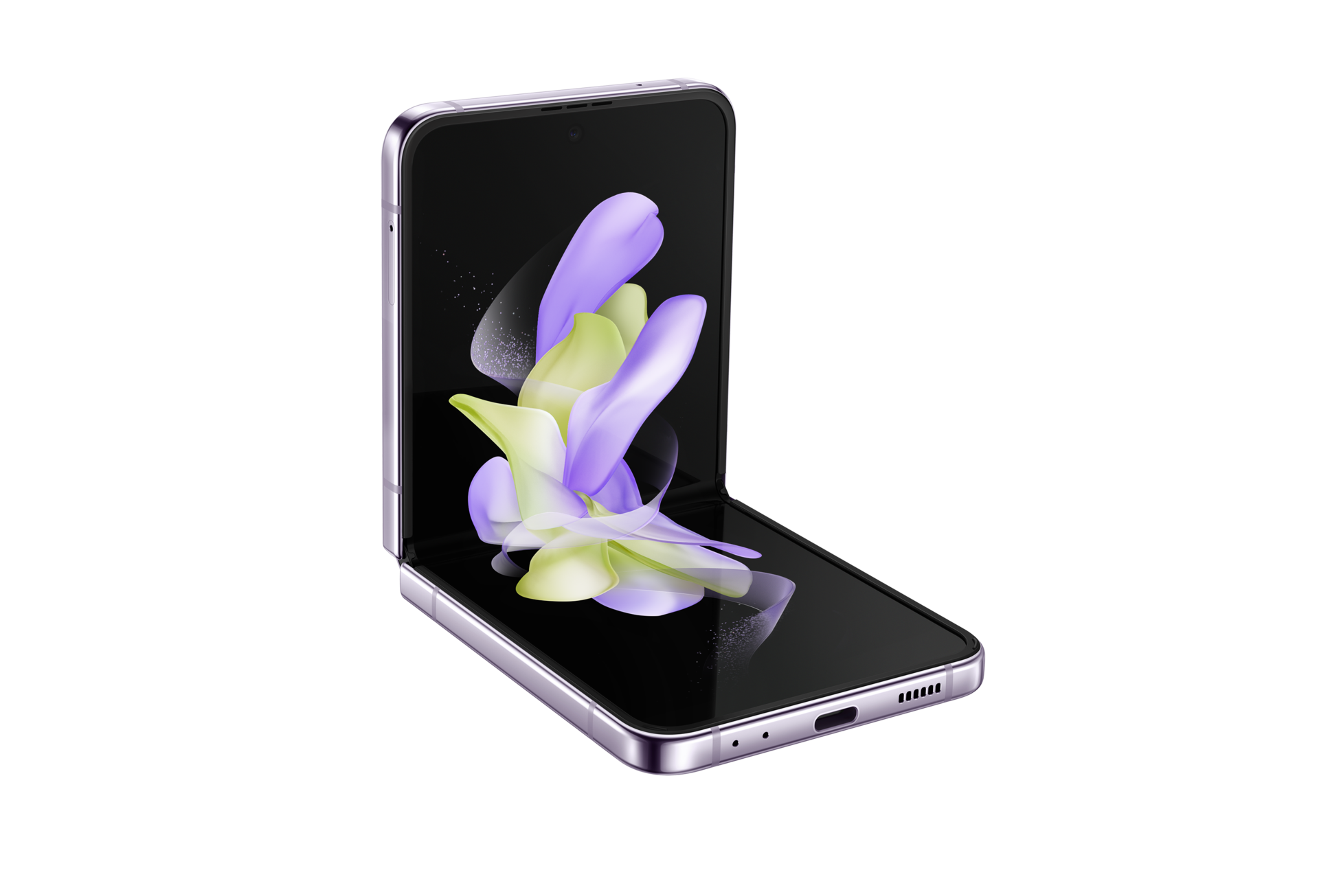 front Bora Purple
