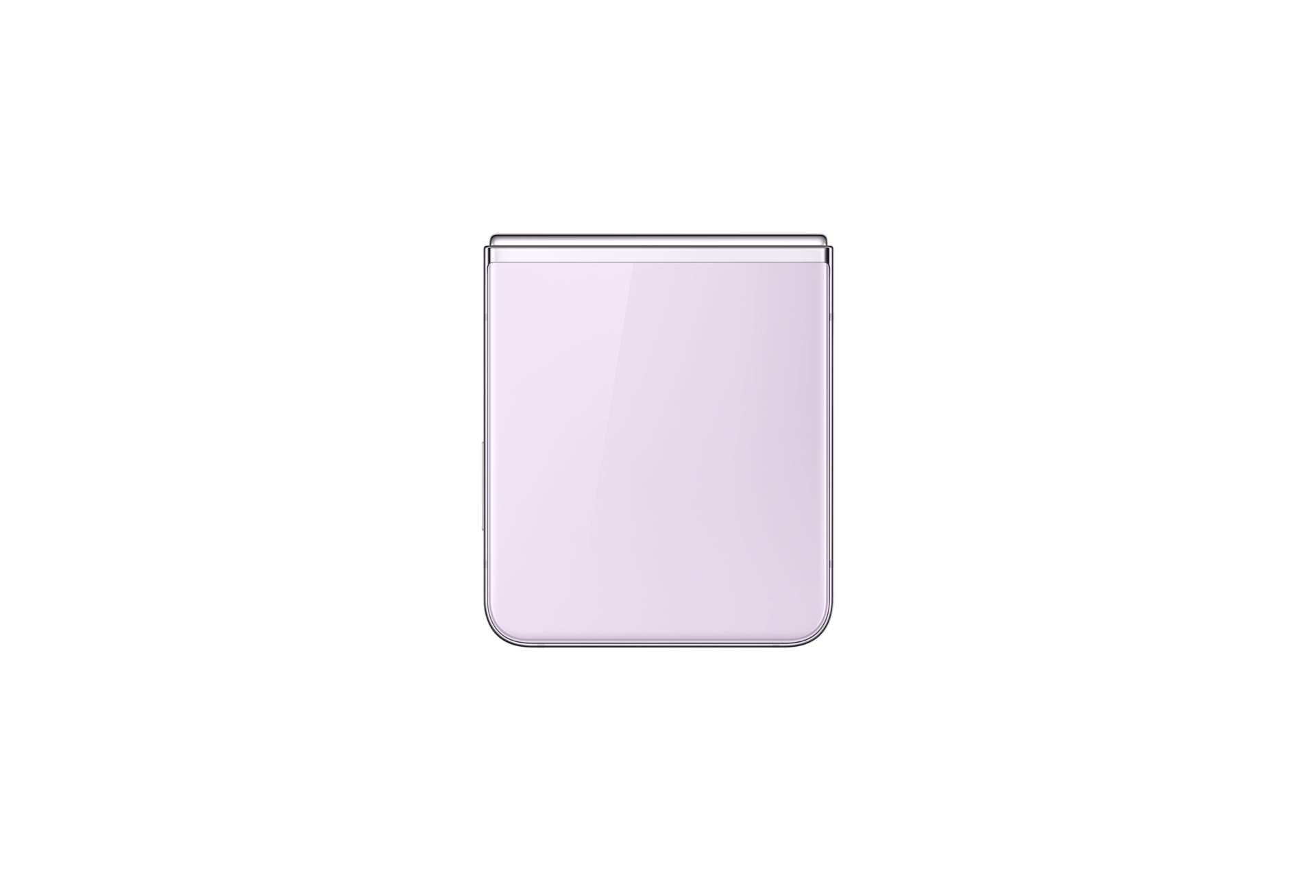 closedback Lavender