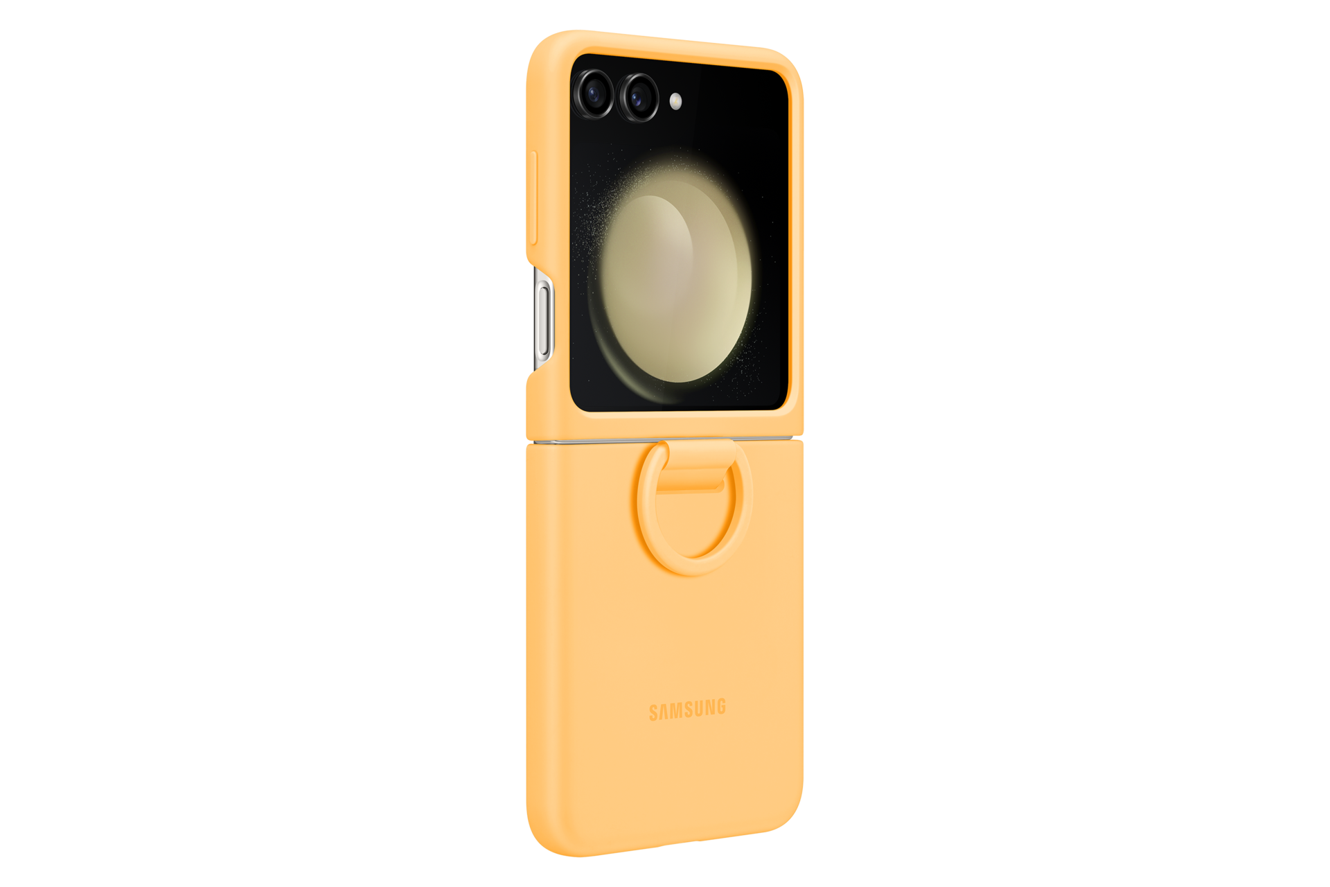 dynamic Apricot