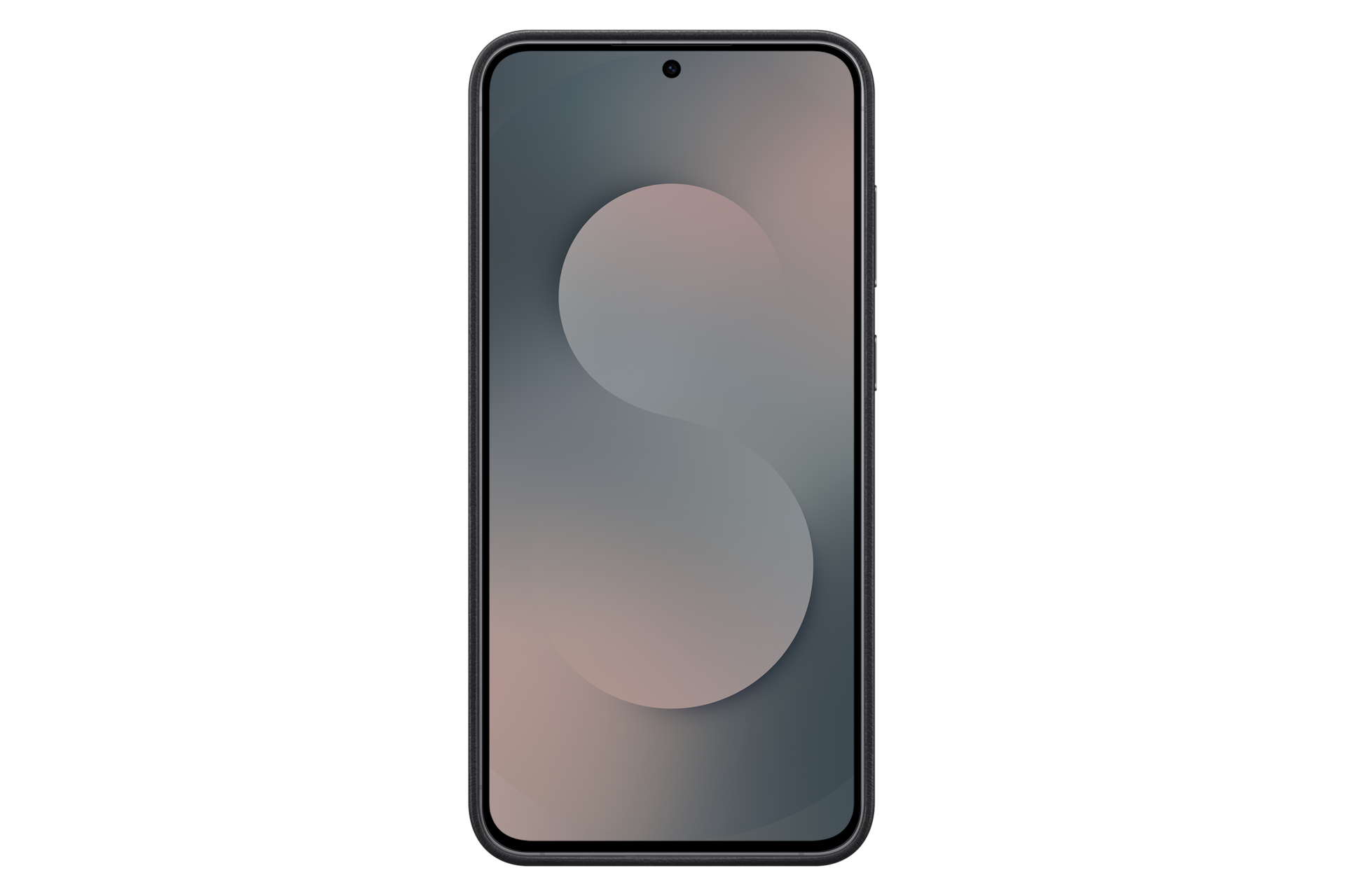 Galaxy S25 FE Kindsuit ovitek Back Black 
