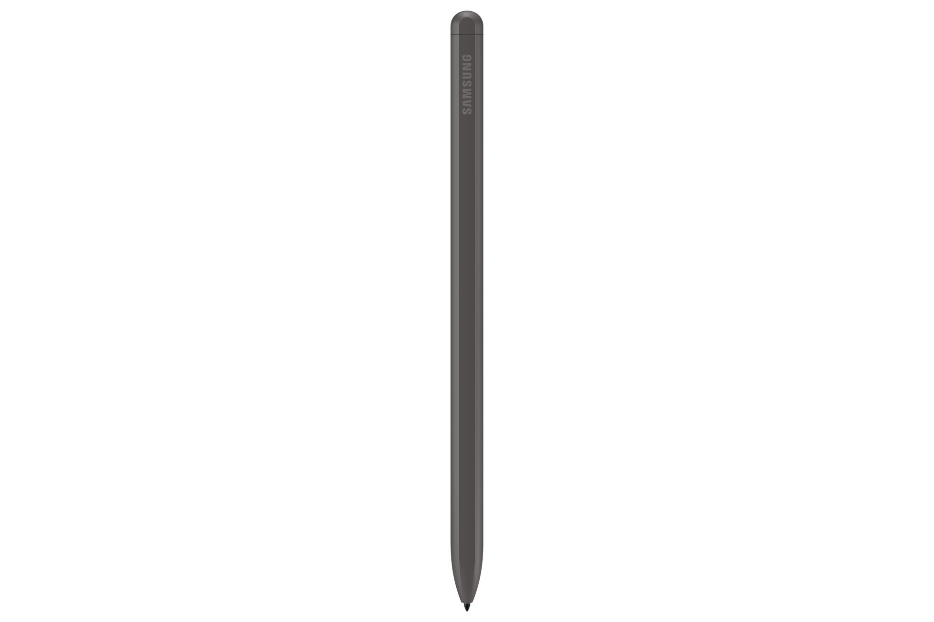 back Gray