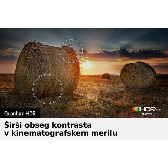 QLED TV Q60B s Quantum HDR lahko razkrije drobne podrobnosti slike