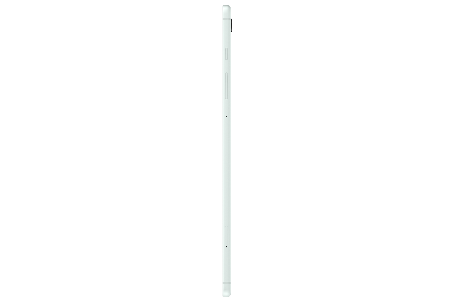 r-side Mint