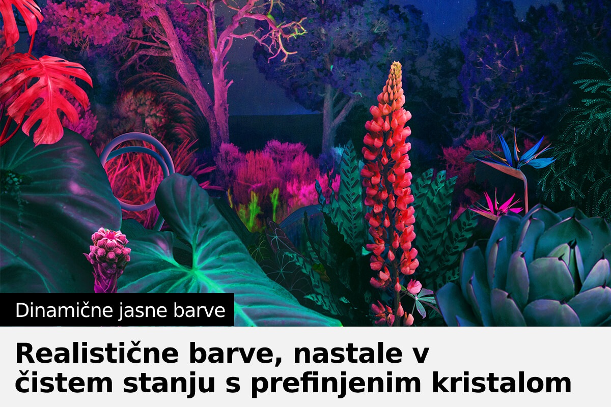 Crystal UHD TV BU8000 z dinamičnimi jasnimi barvami zagotavlja celoten spekter barv