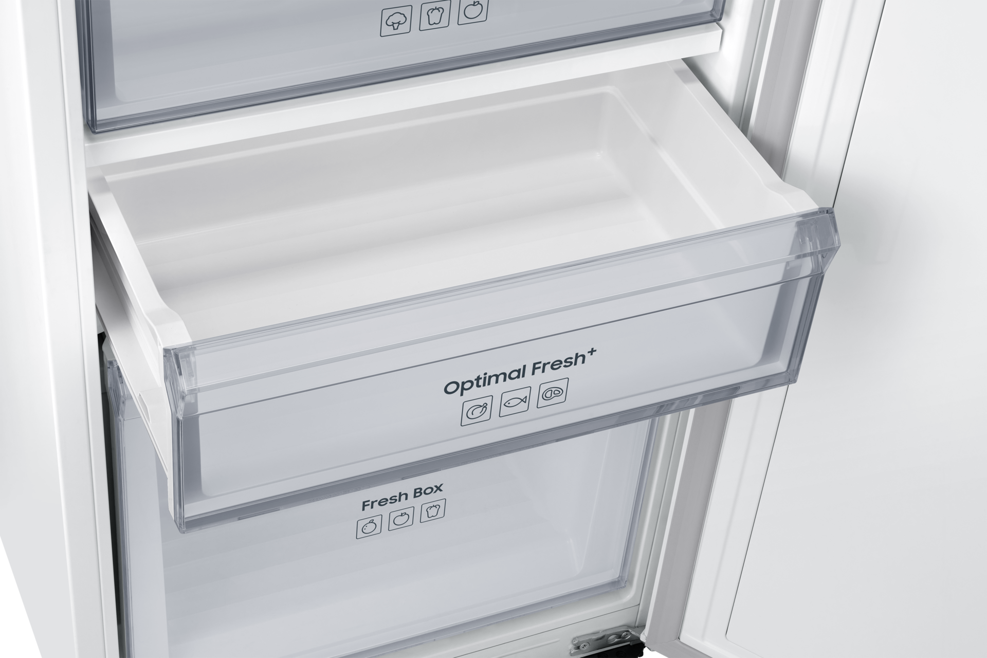 optimal-fresh White