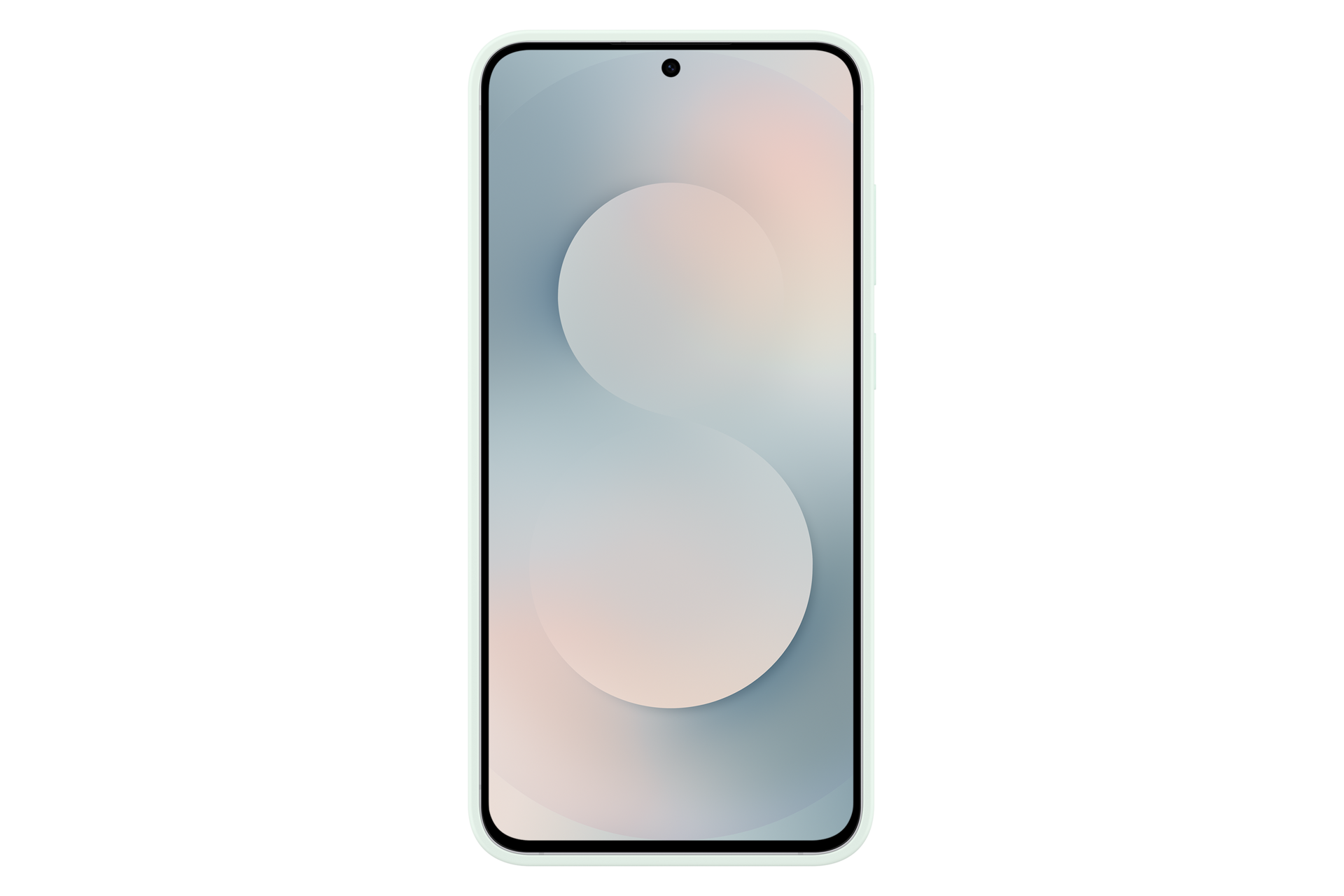 Galaxy S25 FE Silicone Case Back Mint 