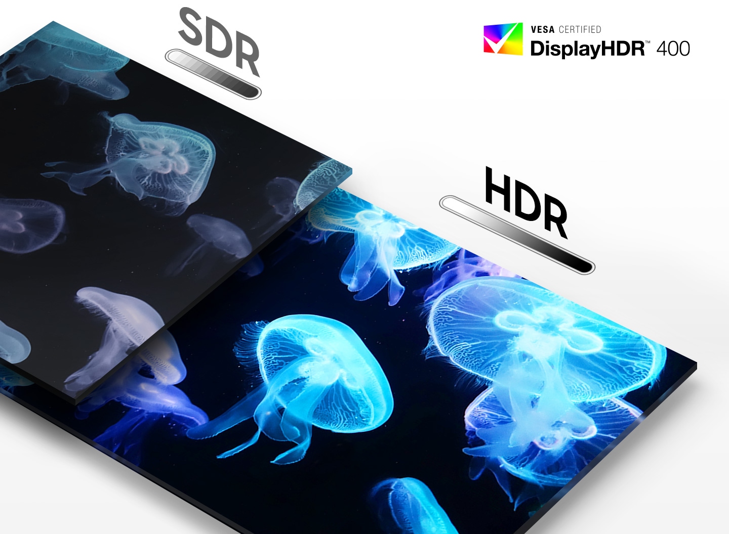 A panel where jellyfishes are floating in deep sea is split into two sections, with the left side labelled as †SDR' and right side labelled as †HDR'. Compared to SDR part, HDR shows much deeper dark colors and more vivid bright colors. Below the labels are located black-and-white bars which are longer and more sophisticated for HDR compared to SDR. On the right top corner is DisplayHDR 400 logo.