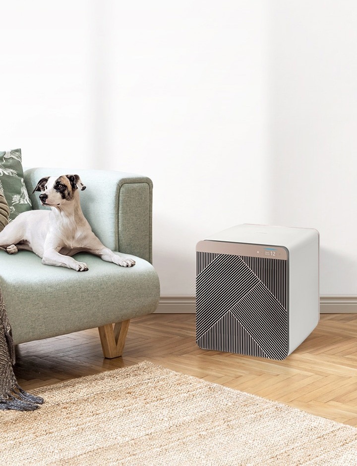 Samsung cube air purifier outlet price