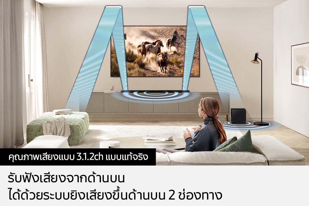 HW-S801D/XT 