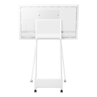 back White