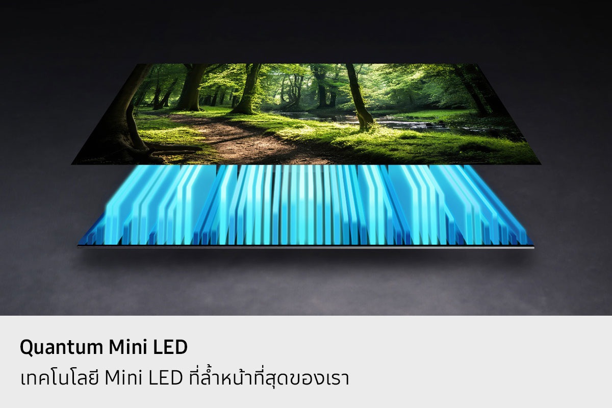 [ไฟแบ็คไลท์ทีวีและหน้าจอถูกแยกออกจากกัน โดยมีไฟแบ็คไลท์ Míñí~ LÉD ส่องสว่างหน้าจอเพื่อสร้างภาพฉากป่าที่มีชีวิตชีวา]