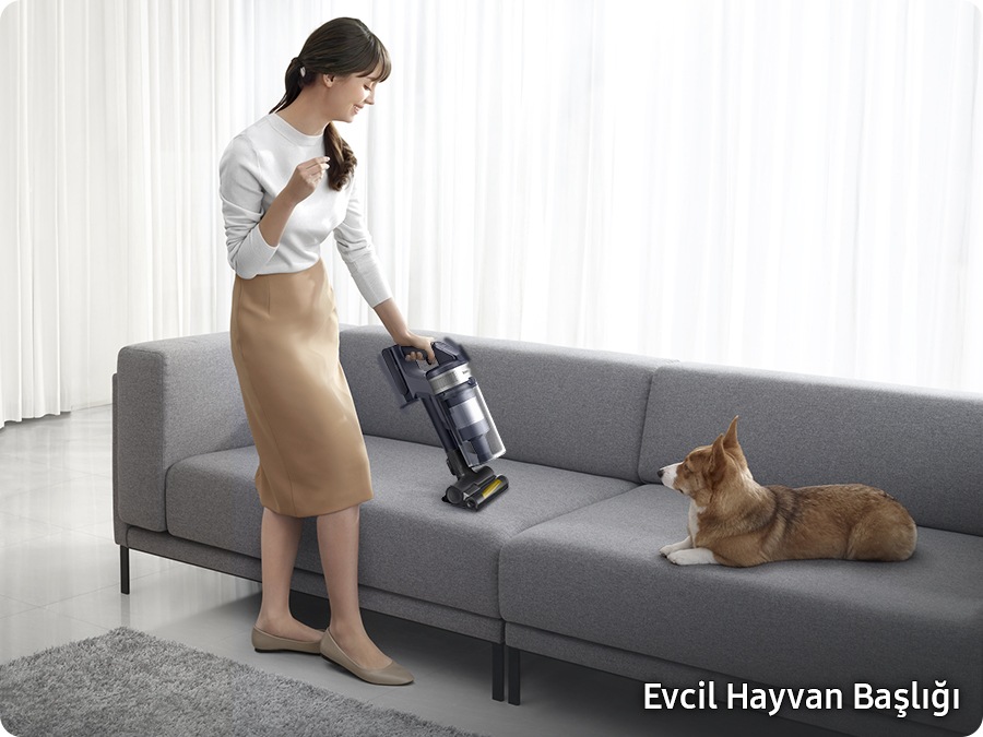 A woman cleans the sofa with a Pet tool(Optional) as a dog sits next to it.