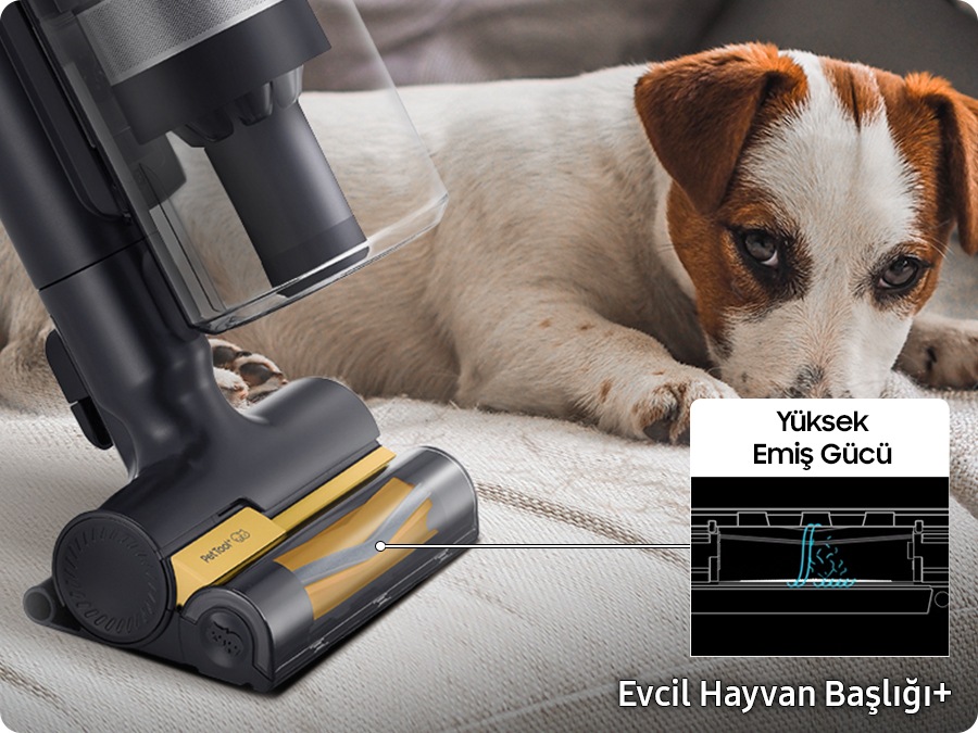 A Jet 85 with the Pet Tool+(optional) cleans the sofa next to a dog. The brush's rubber nozzle and bristles are high-efficiency extractors, picking up all the pet hairs.