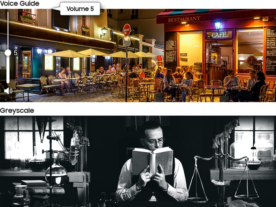 2 features related to accessibility are introduced. The Voice Guide function is shown at the top with an audio description about the volume setting - 'Turn the volume down to 5', and the Greyscale function is shown at the bottom.