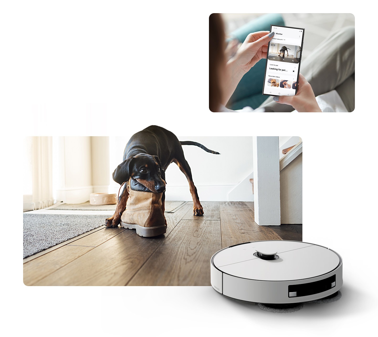 Bir kullanıcı, Jet Bot Kombo Yapay Zeka Steam+’ın kamerasına bağlı SmartThings Uygulaması ile ayakkabıyı ısıran bir köpeği izliyor.