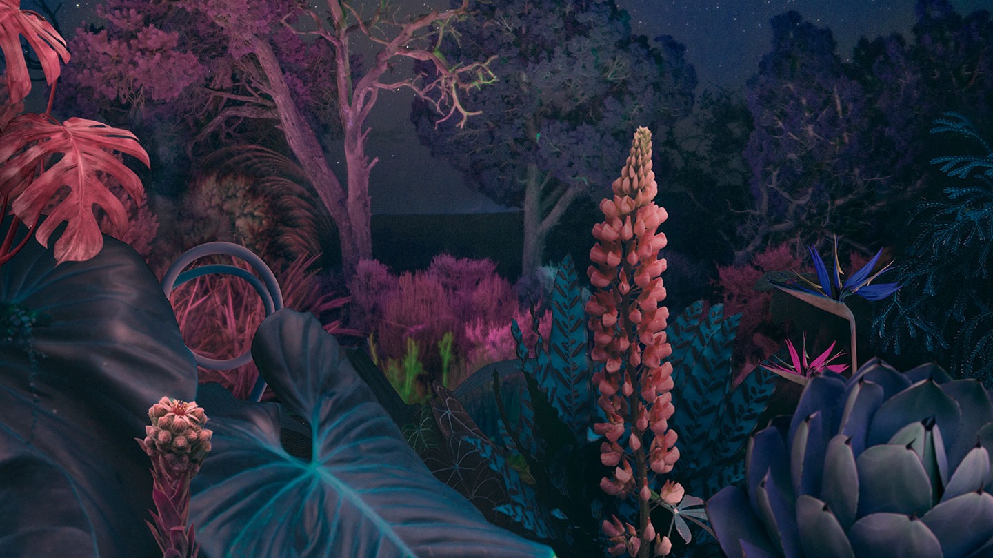 Gece saatlerinde bir orman, görece cansız ve renksiz bir şekilde görüntüleniyor.