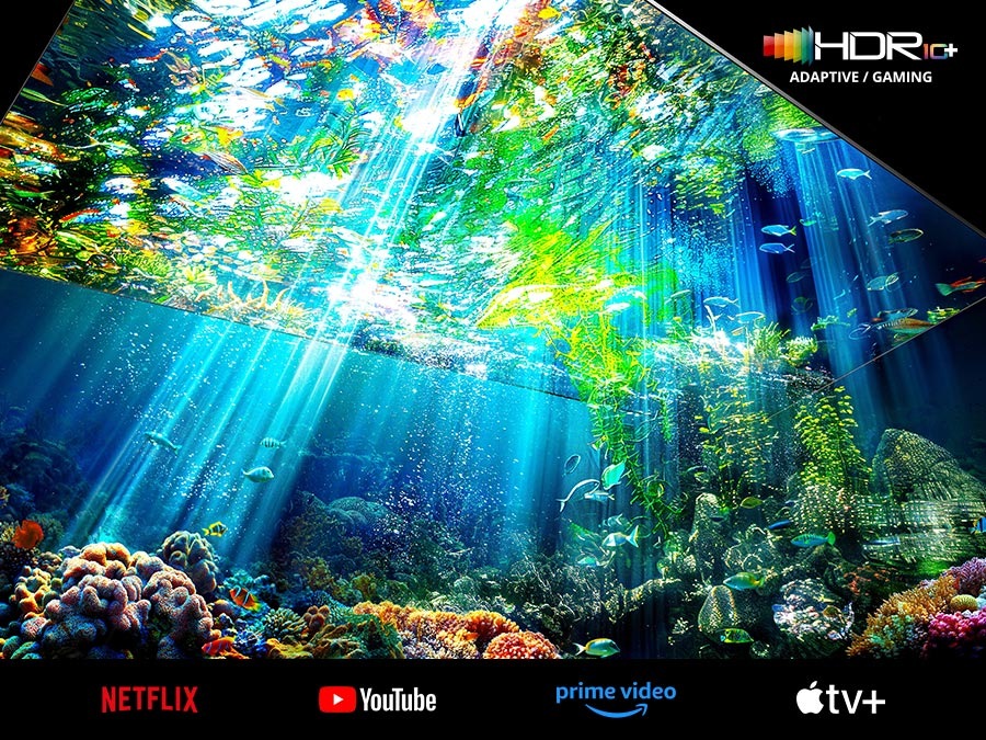Micro RGB TV’de hiper gerçekçi bir su altı sahnesi görüntüleniyor. HDR10+ Adaptif Oyun, Netflix, YouTube, Prime Video ve Apple TV logoları.