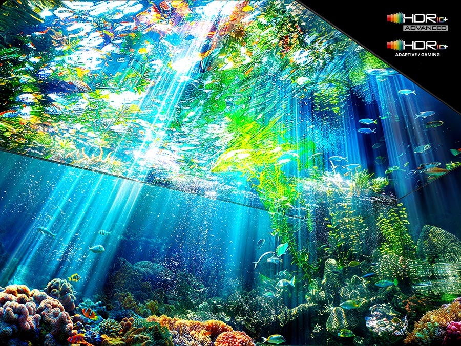 Micro RGB TV’de hiper gerçekçi bir su altı sahnesi görüntüleniyor. HDR10+ Advanced, HDR10+ Adaptive/Gaming logoları.