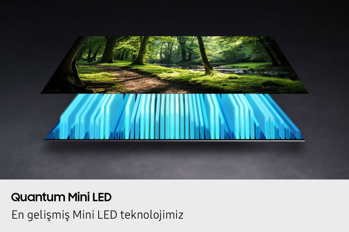 Bir TV’nin arkadan aydınlatması ve ekranı birbirinden ayrılmış şekilde gösteriliyor; Mini LED arkadan aydınlatma, ekranı aydınlatarak canlı bir orman sahnesini sergiliyor.