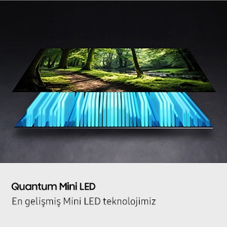 Bir TV’nin arkadan aydınlatması ve ekranı birbirinden ayrılmış şekilde gösteriliyor; Mini LED arkadan aydınlatma, ekranı aydınlatarak canlı bir orman sahnesini sergiliyor.