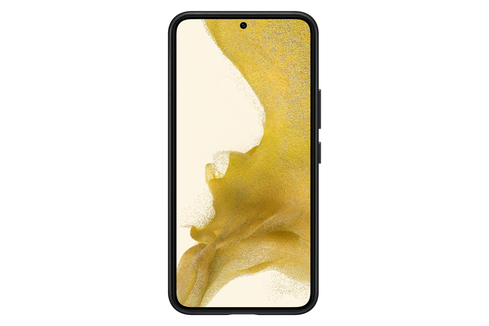 Galaxy S22 5G 皮革背蓋