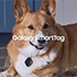 Galaxy SmartTag