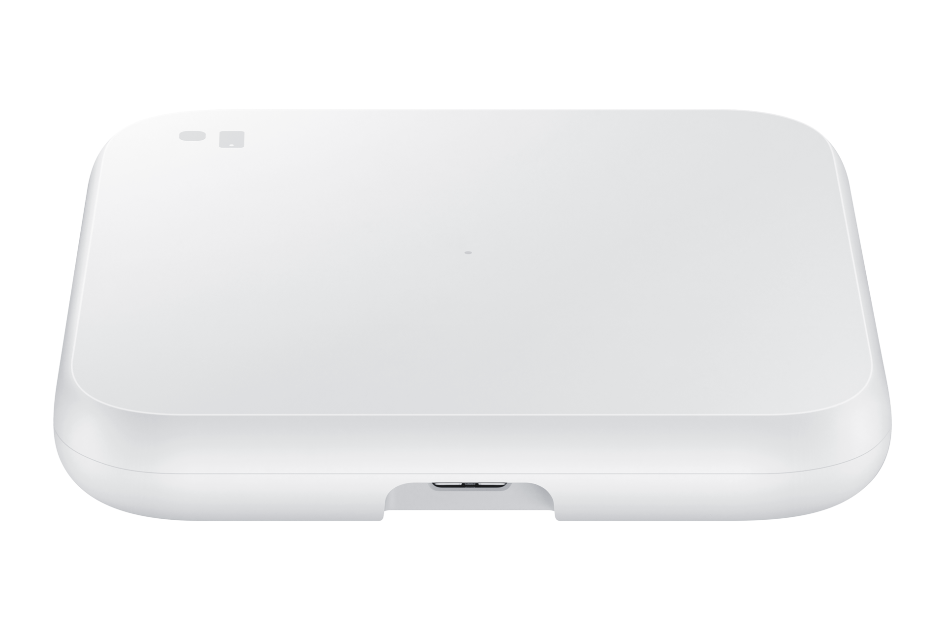 back White