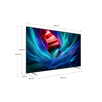 115型 Micro RGB R95F 4K Samsung Vision AI 智慧顯示器 (2026) 規格尺寸