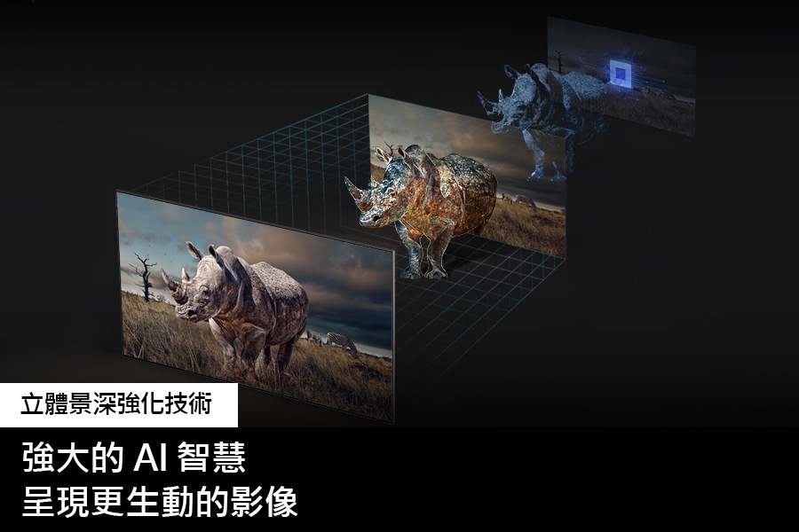 QLED 4K Q80C 的螢幕投射出一隻犀牛。