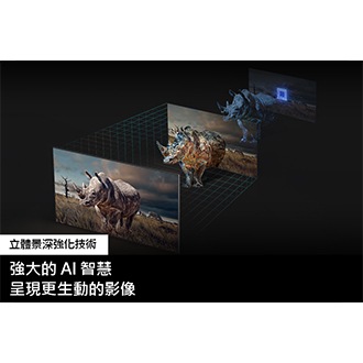 QLED 4K Q80C 的螢幕投射出一隻犀牛。