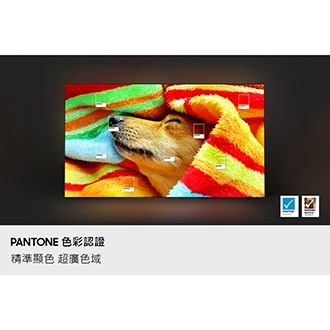 S85F PANTONE 色彩認證