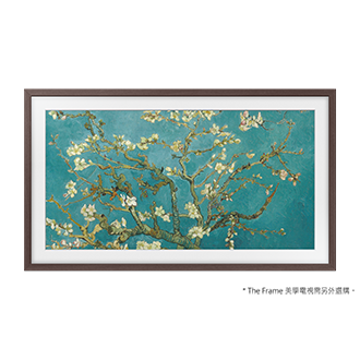 風格邊框與 The Frame 美學電視的產品外觀正面