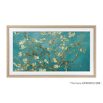 風格邊框與 The Frame 美學電視的產品外觀正面