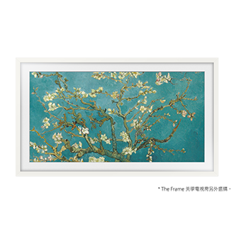 風格邊框與 The Frame 美學電視的產品外觀正面