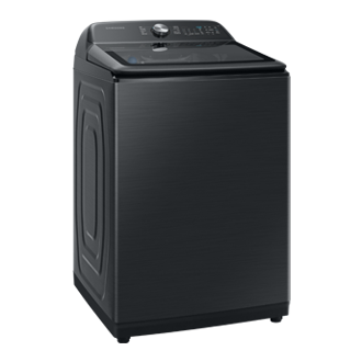 [WÁ19Á8370G~V 噴射雙潔淨 19 KG 直立蒸洗脫]