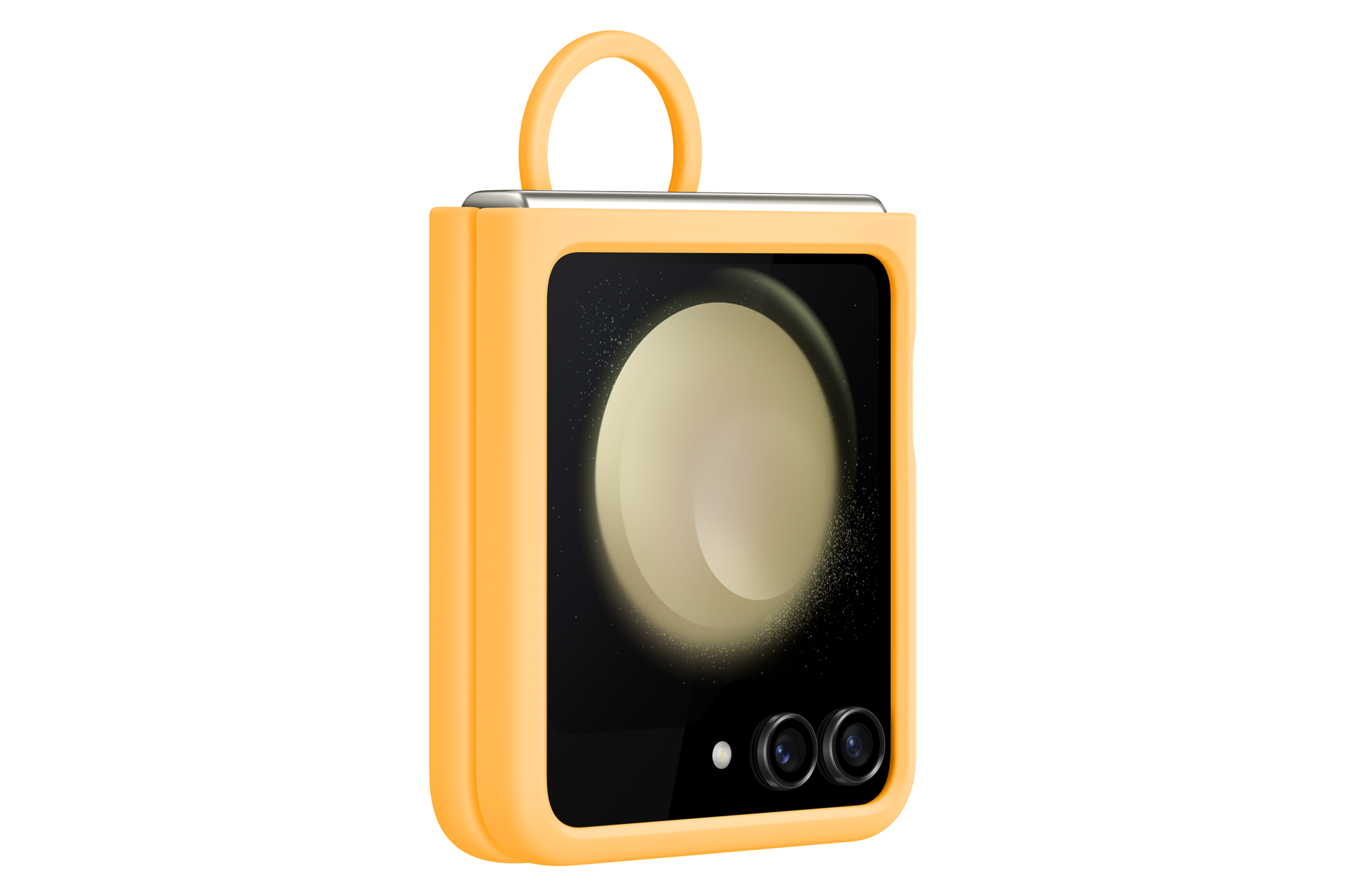 dynamic Apricot