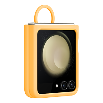 dynamic Apricot