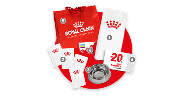 [Набір Róýá~l Cáñ~íñ у подарунок та розіграш суперпризів¡]