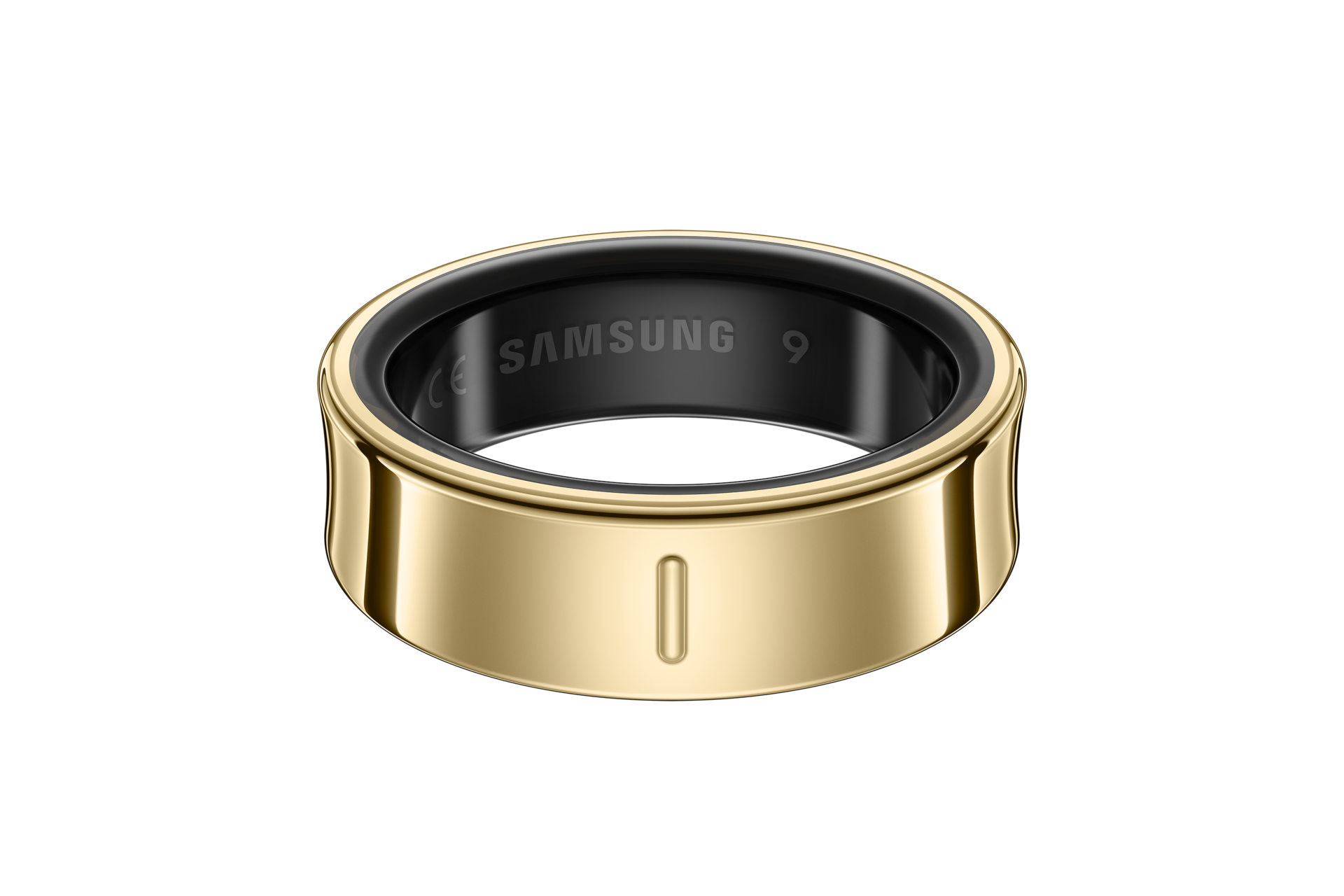 back Titanium Gold
