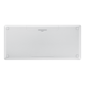back White